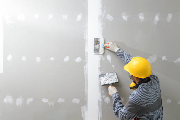 Best Mold Damage Restoration  in Wichita, KS