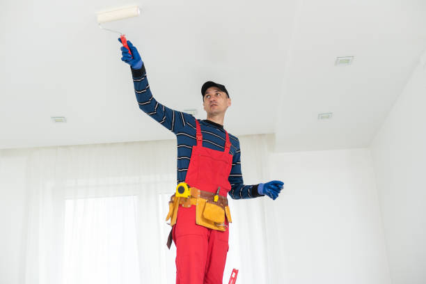 Best Attic Mold Removal  in Wichita, KS