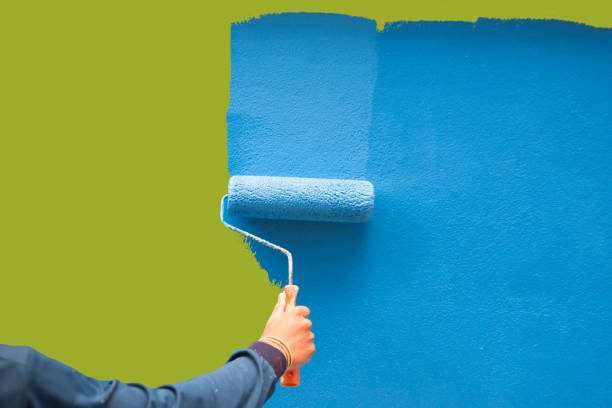 Wichita, KS Mold Removal Company